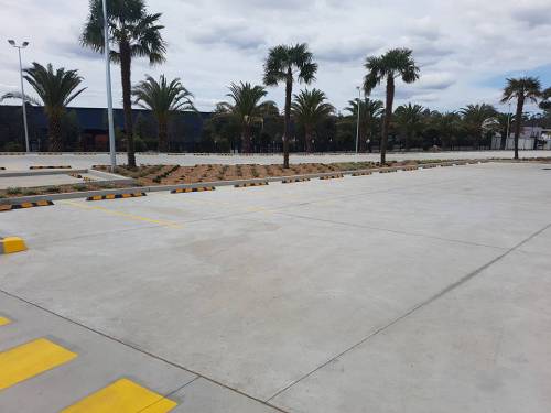 A wide parking lot with palm trees, yellow stripes, and landscaped areas.